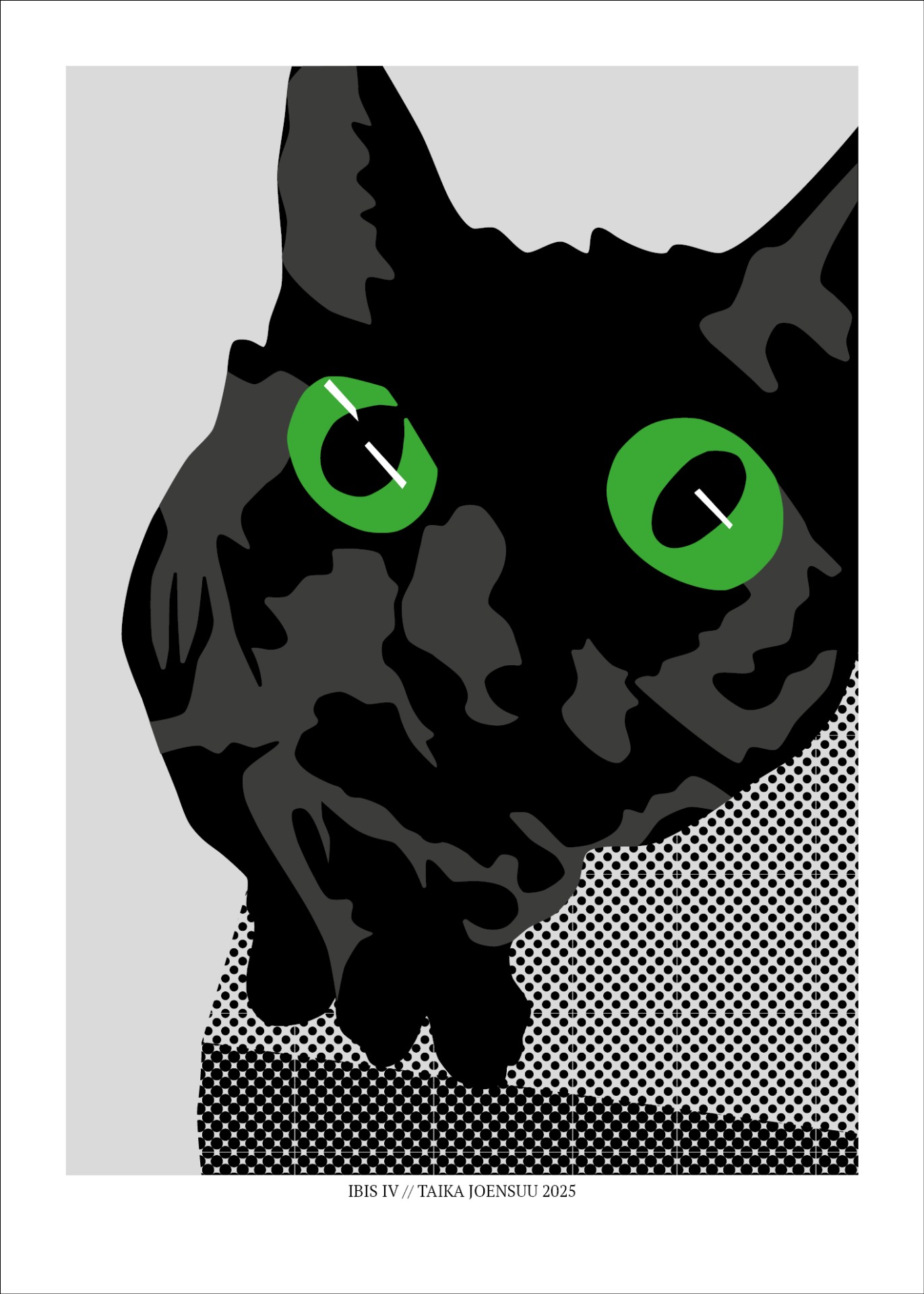Ibis IV.  Digitaalinen PDF-juliste 50x70 cm – ei fyysistä tuotetta, toimitetaan sähköpostitse maksun jälkeen.