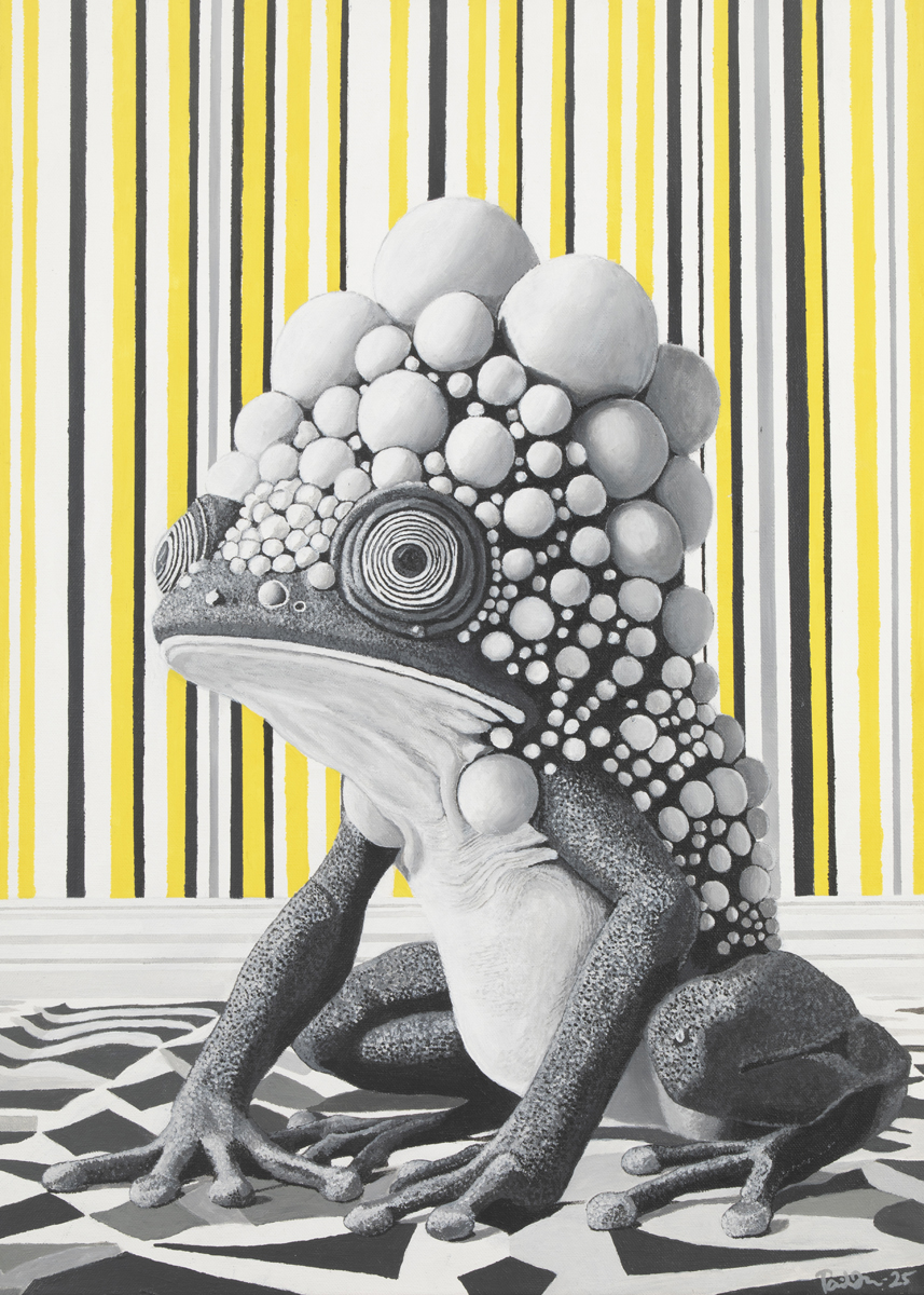 Musta sammakko istuu mustavalkokuvioisella alustalla. Sen selkä on peittynyt suurilla, pallomaisilla kohoumilla. Taustalla on pystysuuntaisia mustia, valkoisia ja kirkkaan keltaisia raitoja, jotka luovat voimakkaan kontrastin.